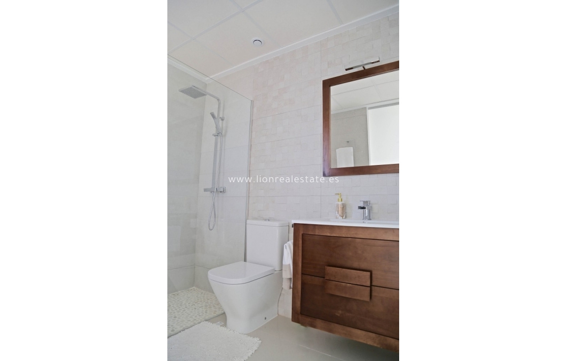 Новое здание - Villa - Dehesa de Campoamor