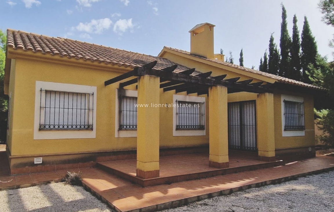 Новое здание - Villa - Fuente Álamo - Las Palas