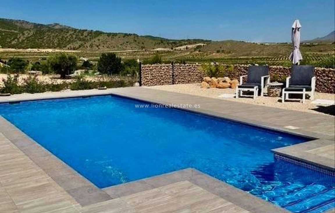 Новое здание - Villa - Jumilla - Torre del Rico