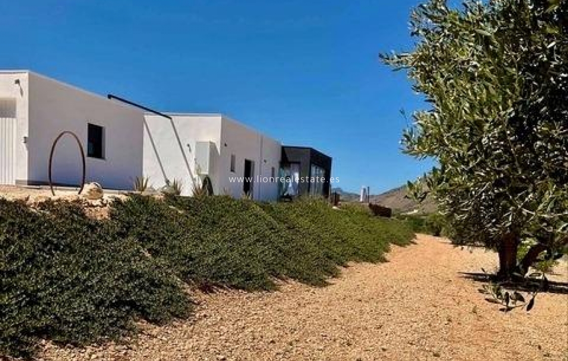 Новое здание - Villa - Jumilla - Torre del Rico