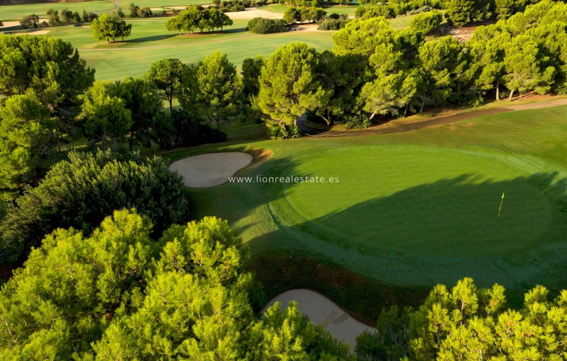 Новое здание - Villa - Pilar de La Horadada - Lo Romero Golf