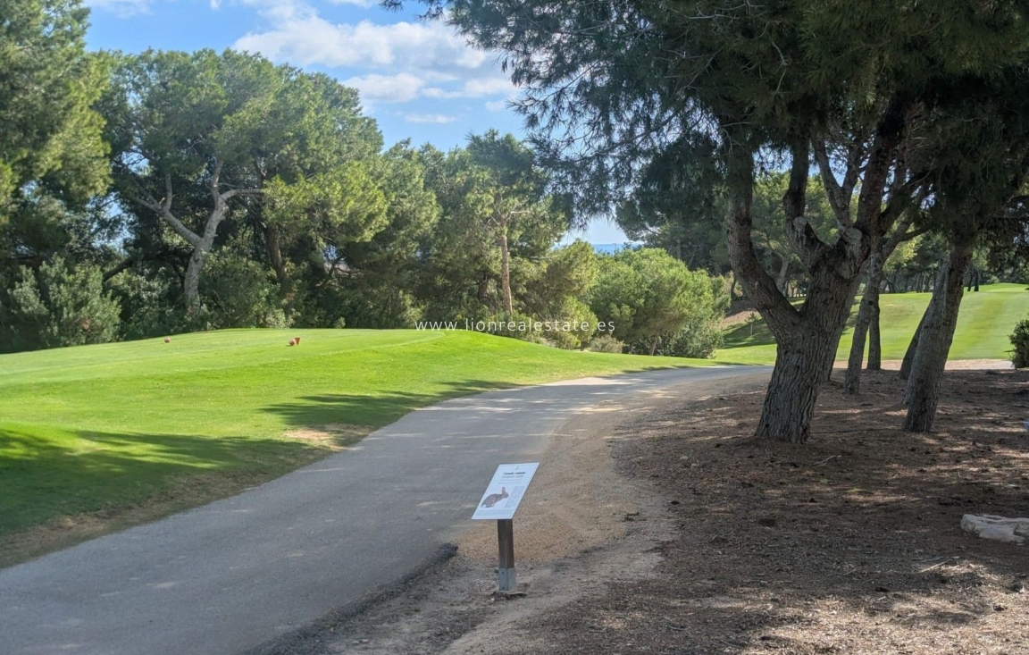 Новое здание - Villa - Pilar de la Horadada - Pinar de Campoverde