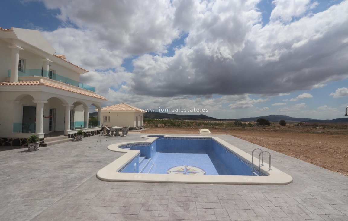 Новое здание - Villa - Pinoso - Camino Del Prado