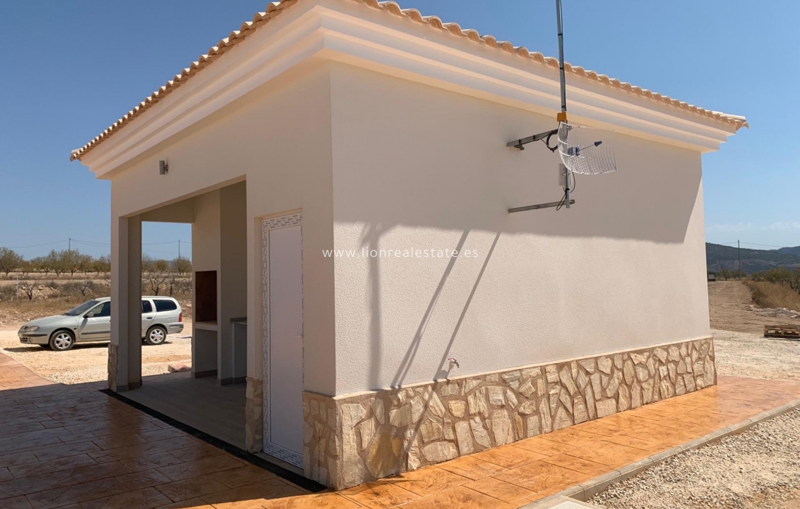 Новое здание - Villa - Pinoso - Camino Del Prado