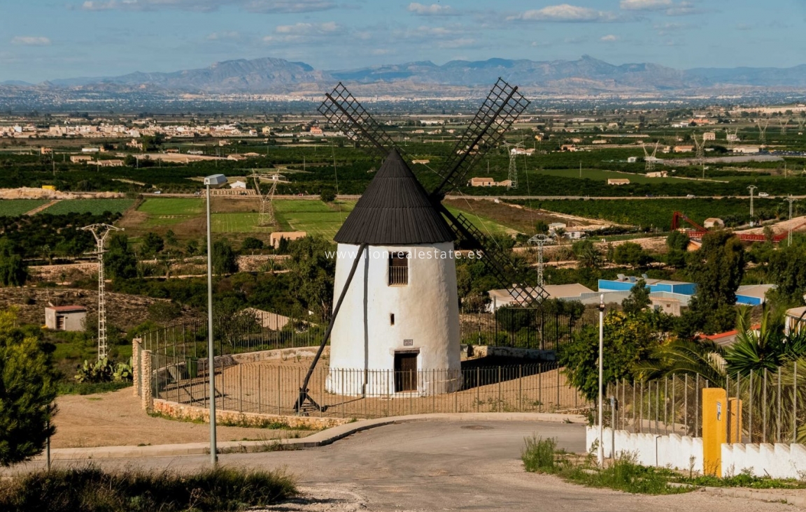 Новое здание - Villa - Rojales - Doña Pepa