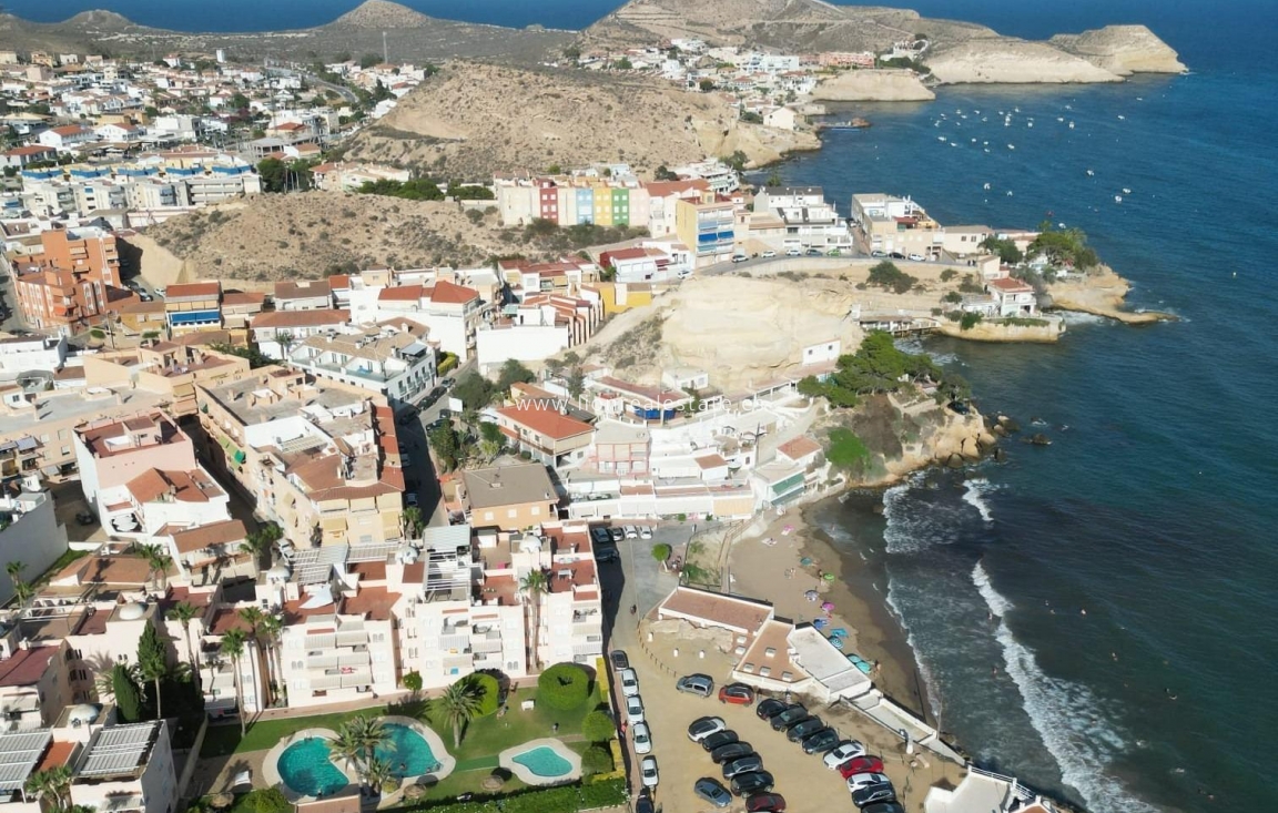 Новое здание - Villa - San Juan de los Terreros - Las Mimosas