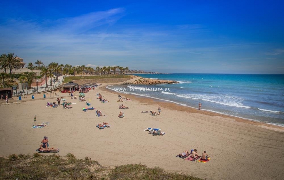 Новое здание - Villa - San Miguel de Salinas - Blue Lagoon