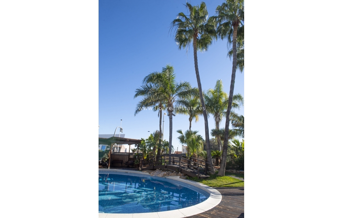 Новое здание - Villa - San Pedro del Pinatar - San Pedro Del Pinatar