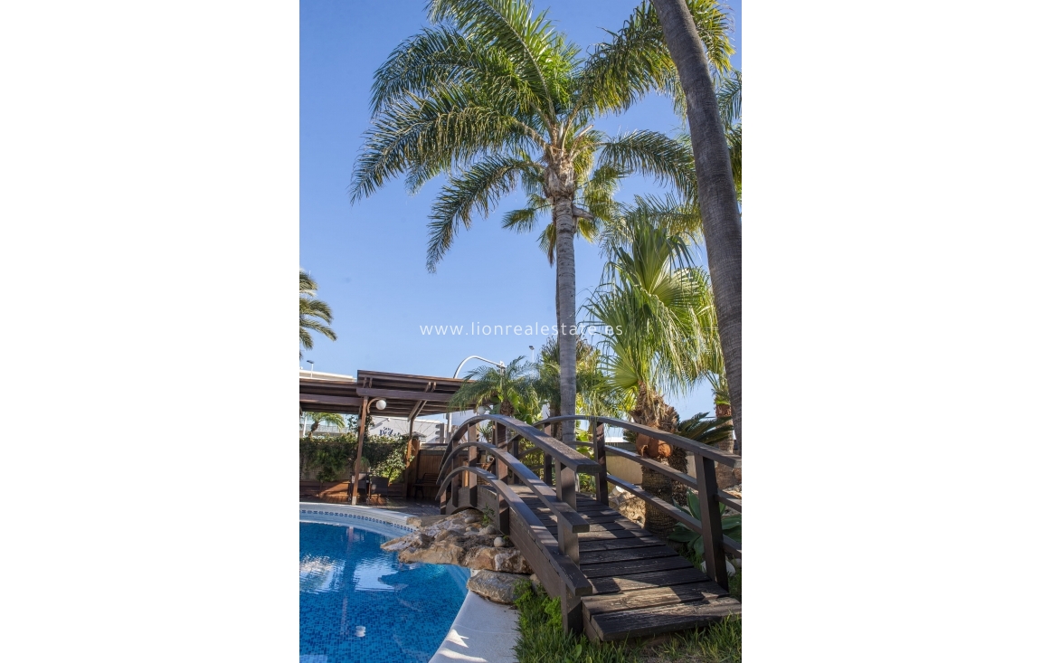 Новое здание - Villa - San Pedro del Pinatar - San Pedro Del Pinatar