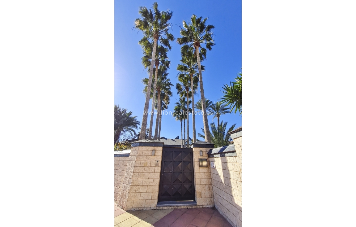 Новое здание - Villa - San Pedro del Pinatar - San Pedro Del Pinatar