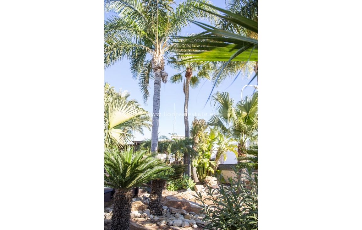 Новое здание - Villa - San Pedro del Pinatar - San Pedro Del Pinatar