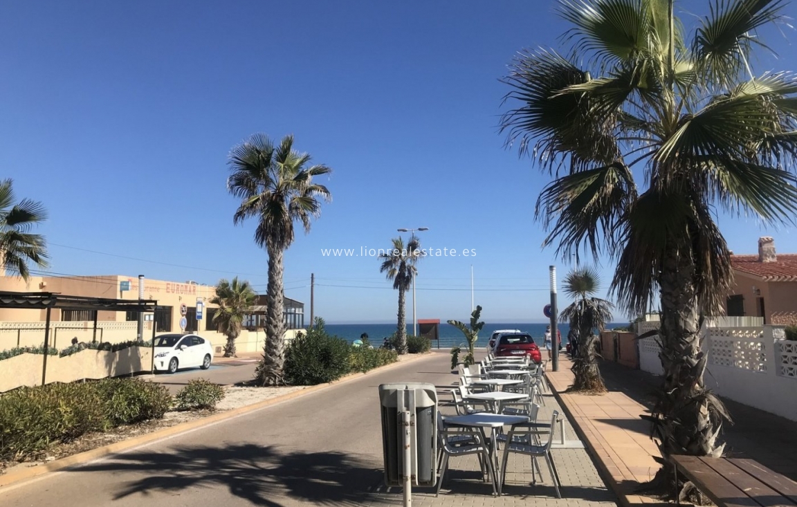 Новое здание - Villa - Torrevieja - La Mata