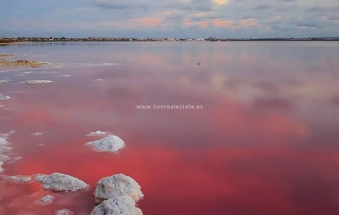 Новое здание - Villa - Torrevieja - Lago Jardín II