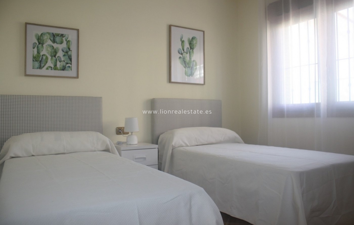 Новое здание - Villa - Torrevieja - Los Altos