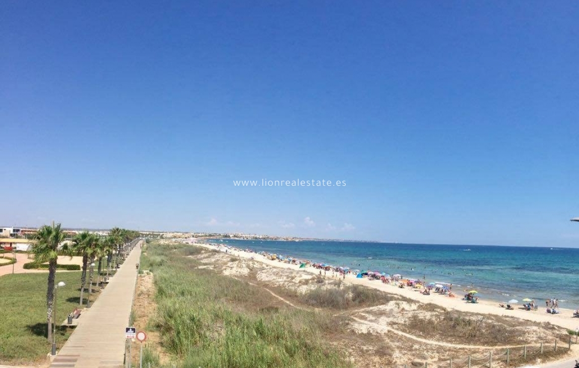 Nowy budynek - Bungalow - Pilar de La Horadada - Torre De La Horadada