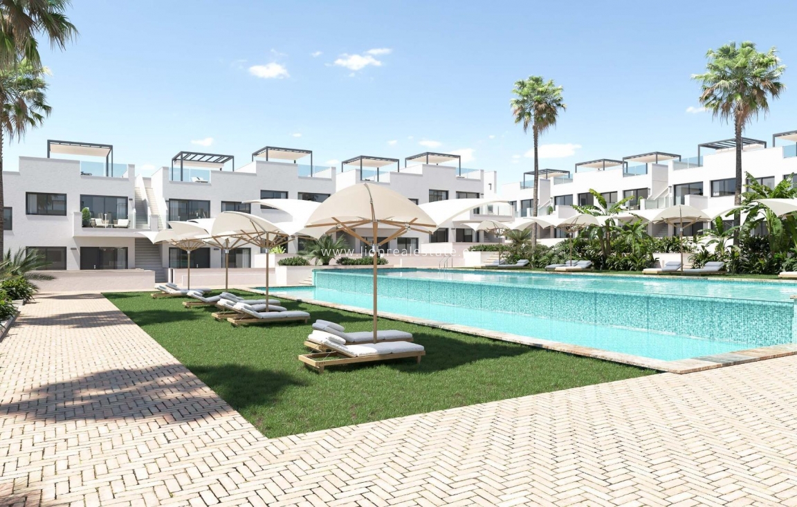 Nowy budynek - Bungalow - Torrevieja - Los Balcones