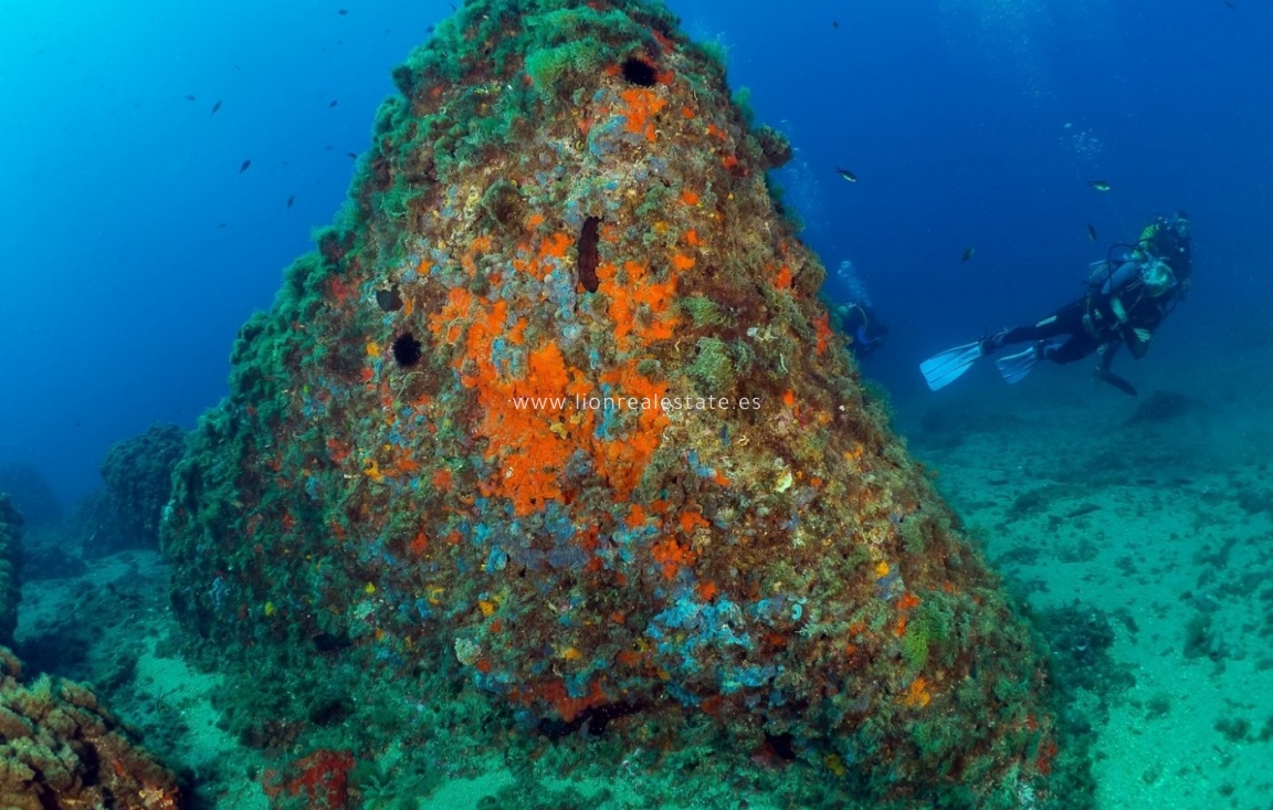 Nowy budynek - Daszek - Aguilas - Isla Del Fraile