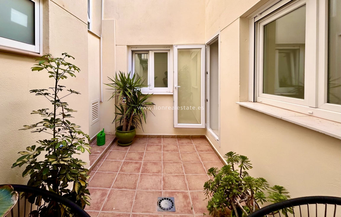Nowy budynek - Daszek - Alicante (Alacant)