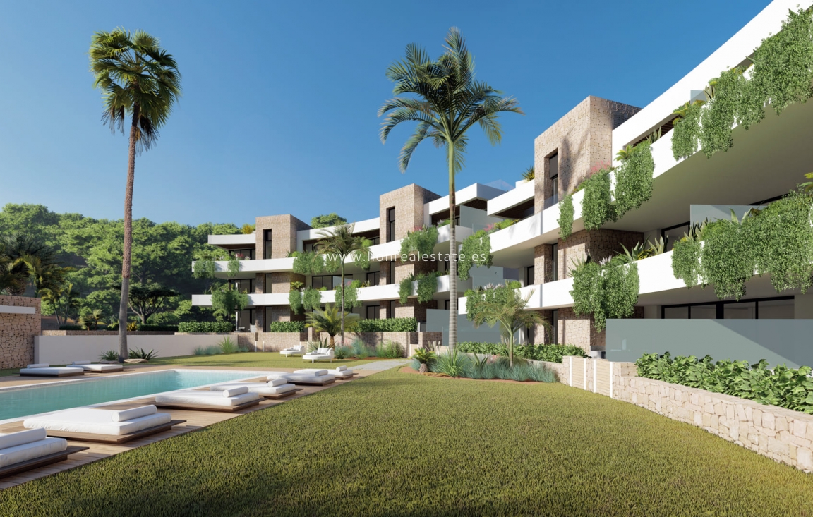 Nowy budynek - Daszek - Cartagena