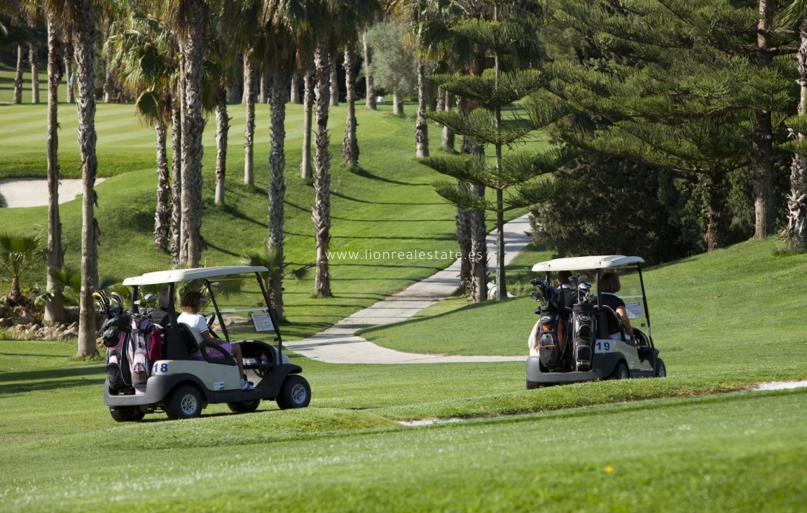 Nowy budynek - Daszek - Orihuela Costa - Lomas de Campoamor