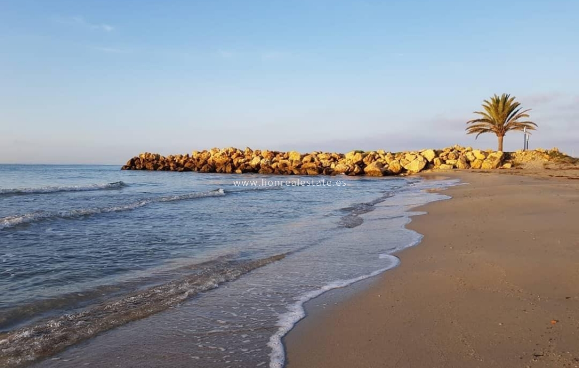 Nowy budynek - Daszek - Santa Pola - Playa Tamarit