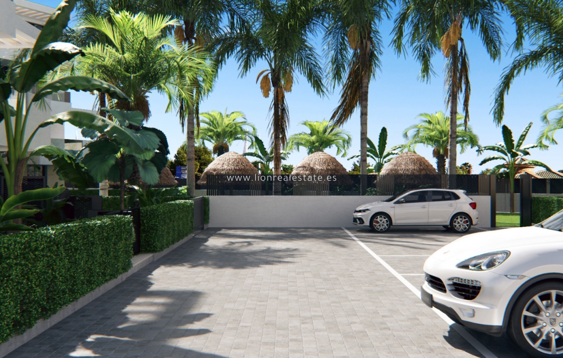 Nowy budynek - Daszek - Torre-Pacheco