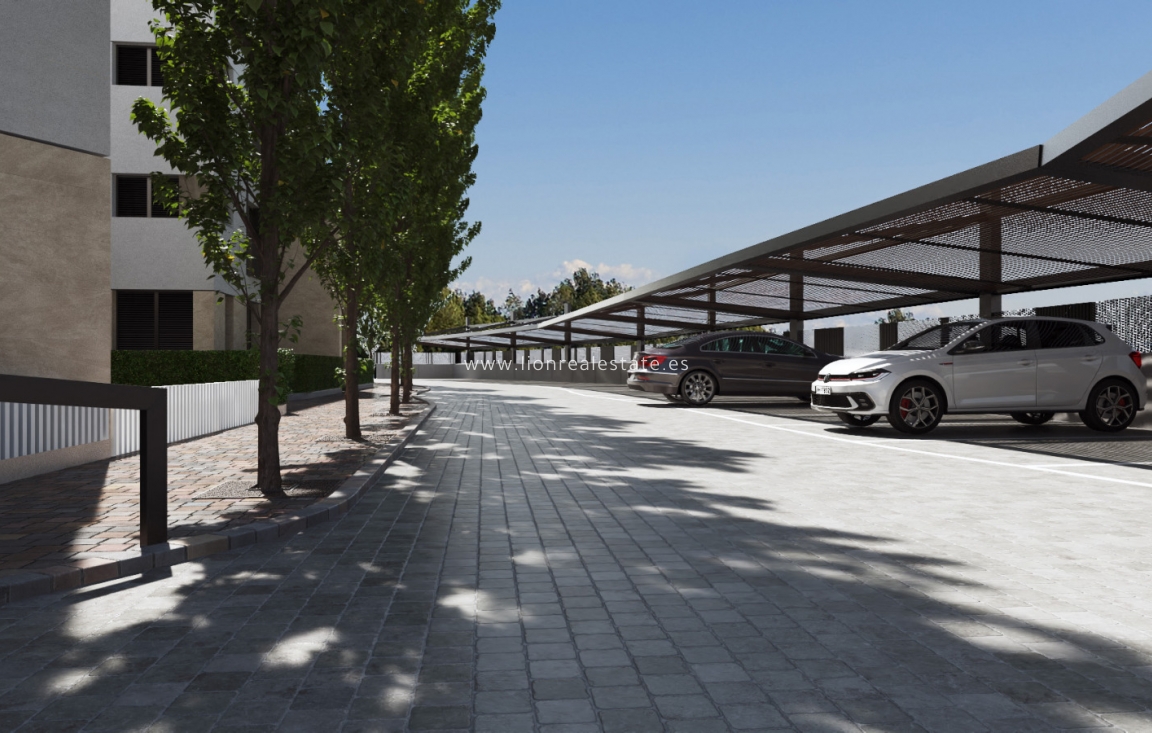 Nowy budynek - Daszek - Torre-Pacheco