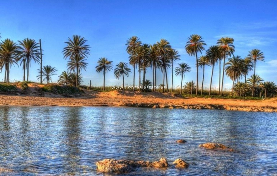 Nowy budynek - Daszek - Torrevieja - Playa de El Cura