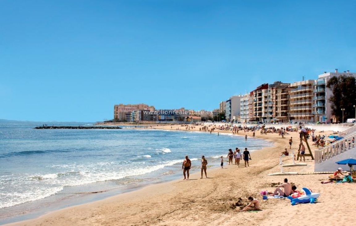 Nowy budynek - Daszek - Torrevieja - Playa de El Cura