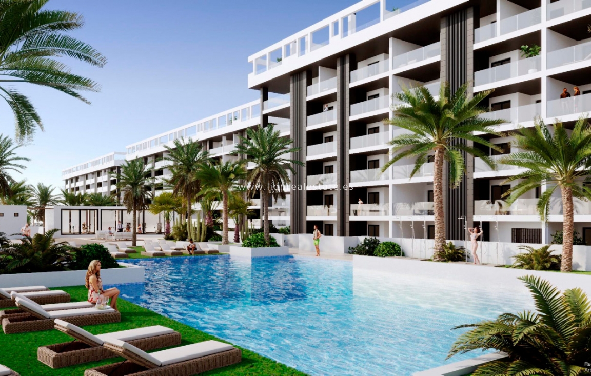 Nowy budynek - Daszek - Torrevieja