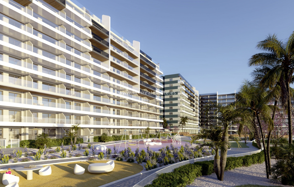 Nowy budynek - Daszek - Torrevieja