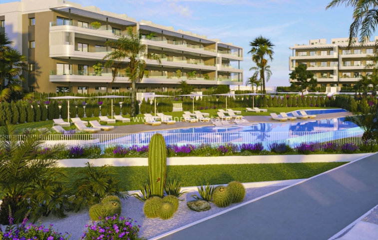 Nowy budynek - Daszek - Torrevieja