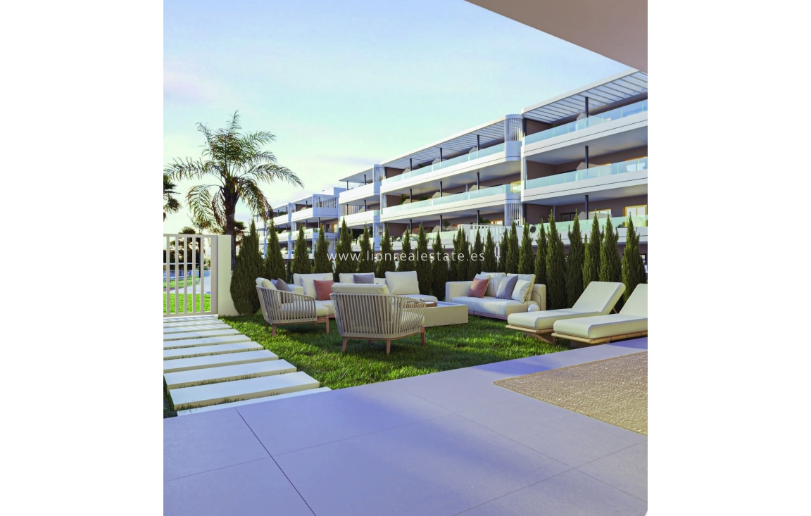 Nowy budynek - Daszek - Torrevieja