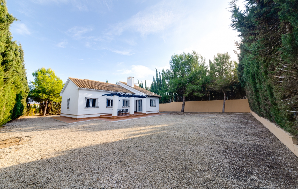 Nowy budynek - detached - Fuente Álamo - Fuente Alamo