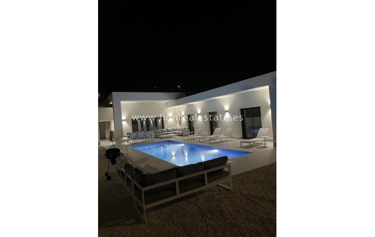 Nowy budynek - detached - La Romana
