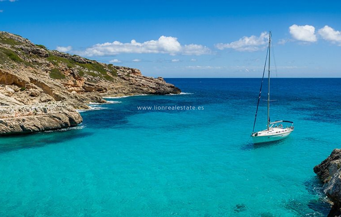 Nowy budynek - detached - Orihuela Costa - Orihuela