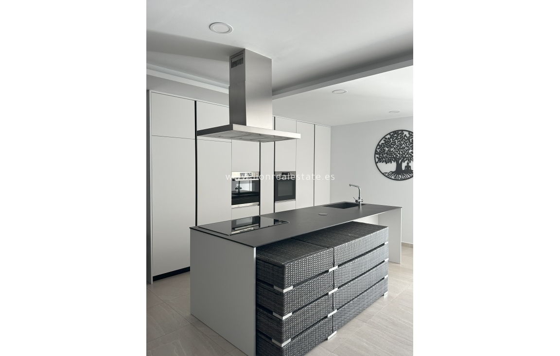 Nowy budynek - detached - Pinoso