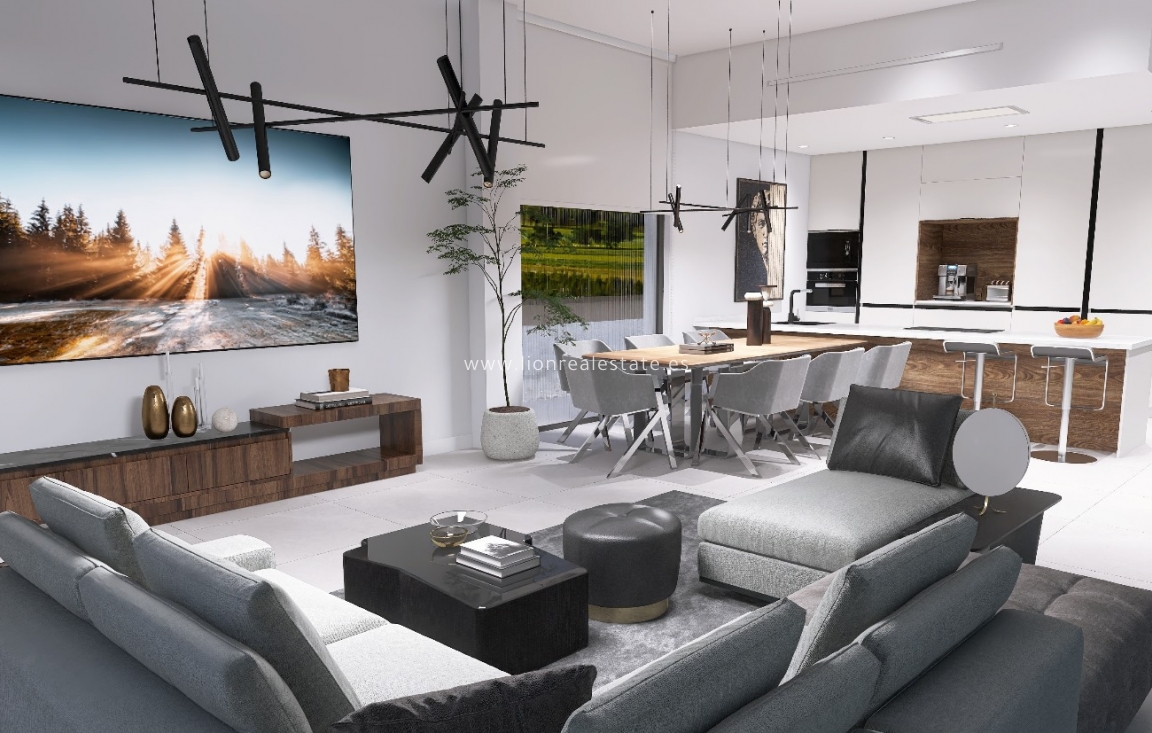 Nowy budynek - detached - Pinoso