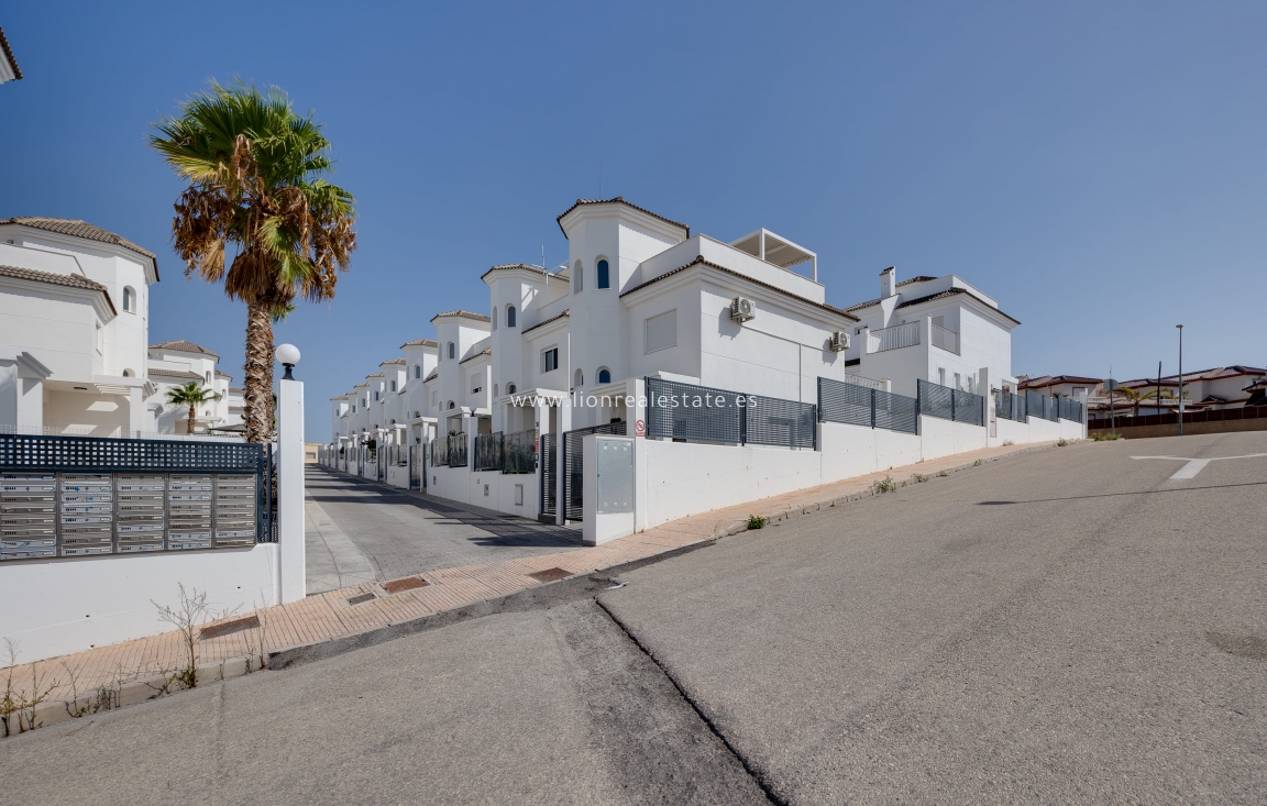 Nowy budynek - detached - San Fulgencio