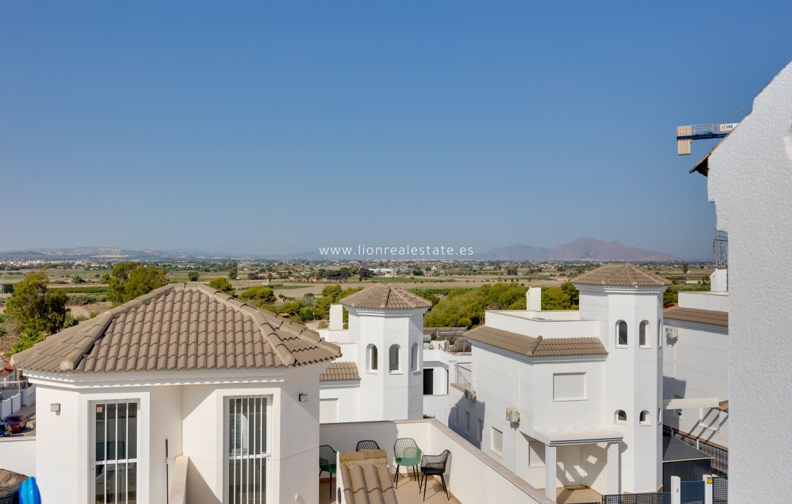 Nowy budynek - detached - San Fulgencio