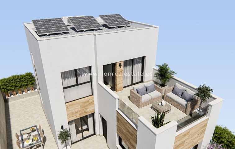 Nowy budynek - detached - San Fulgencio