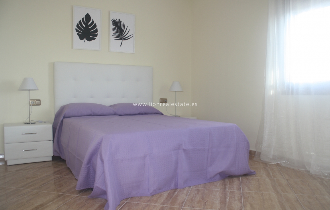 Nowy budynek - detached - Torrevieja