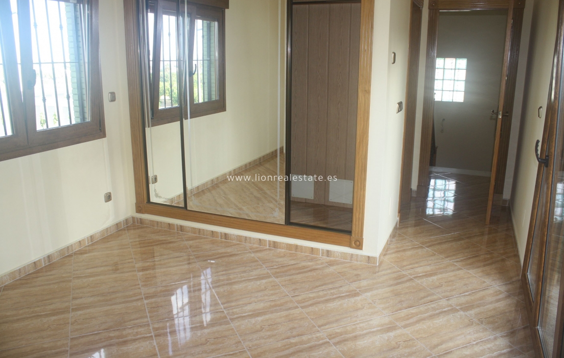 Nowy budynek - detached - Torrevieja