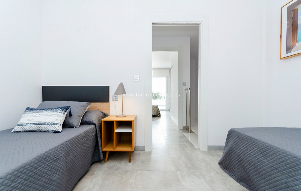 Nowy budynek - detached - Torrevieja
