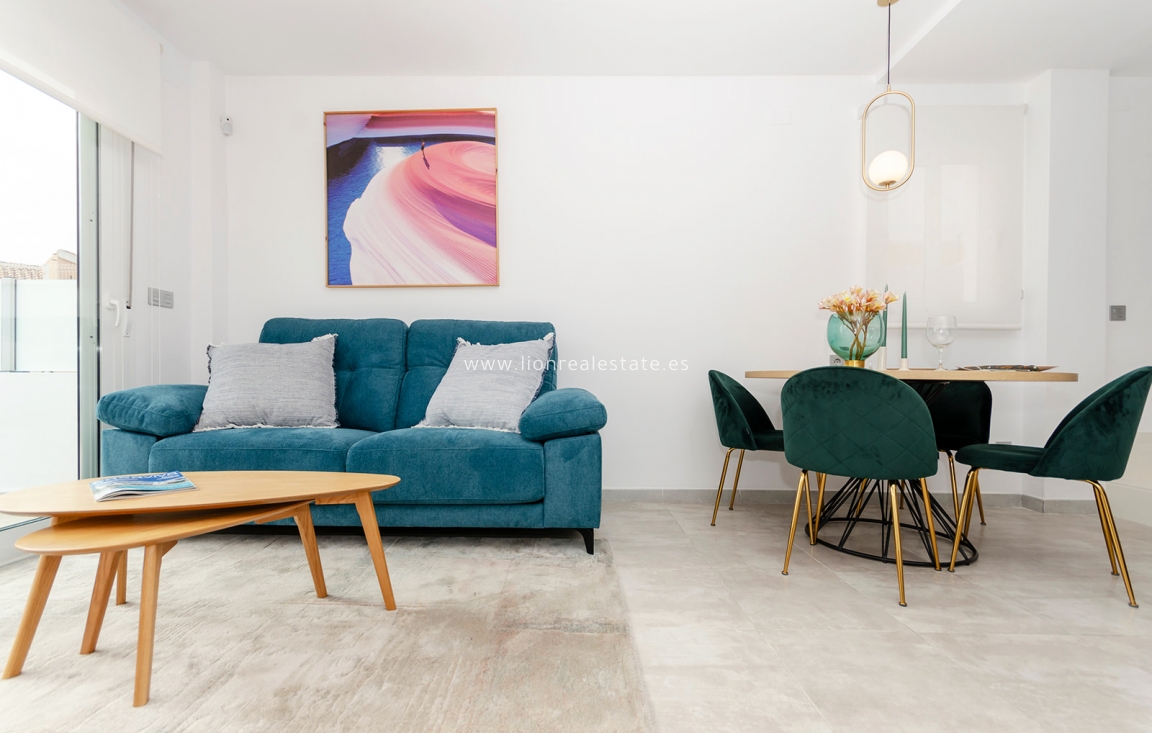 Nowy budynek - detached - Torrevieja