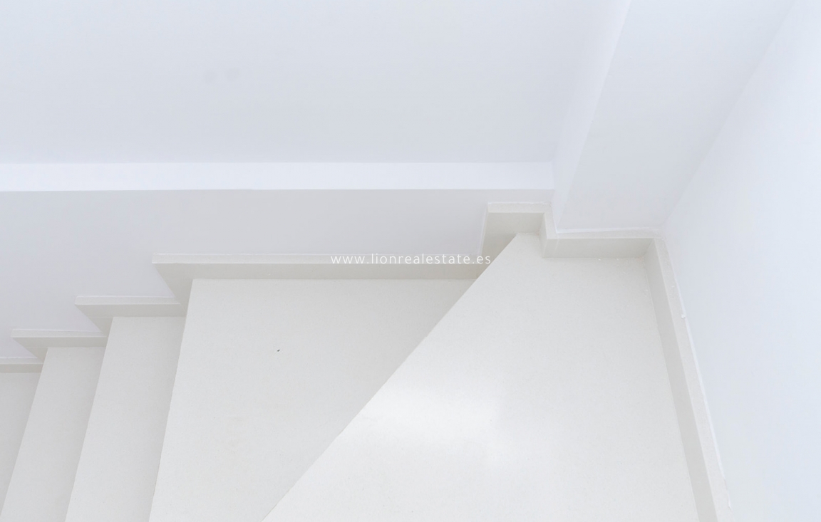 Nowy budynek - detached - Torrevieja