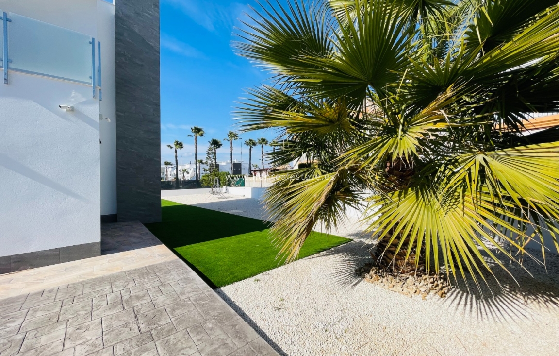 Nowy budynek - detached - Torrevieja