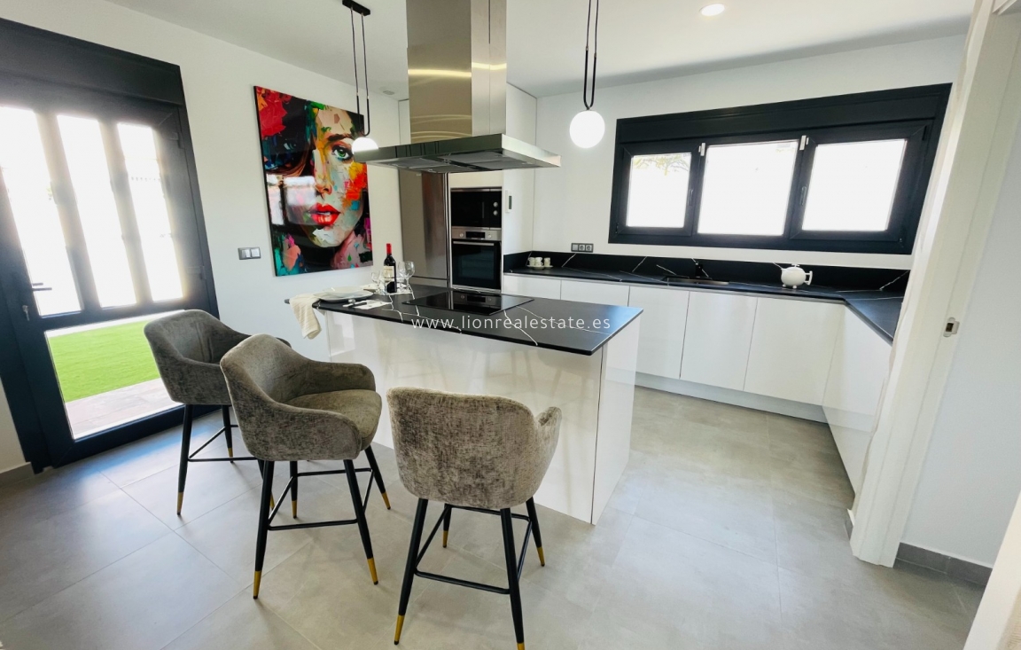 Nowy budynek - detached - Torrevieja