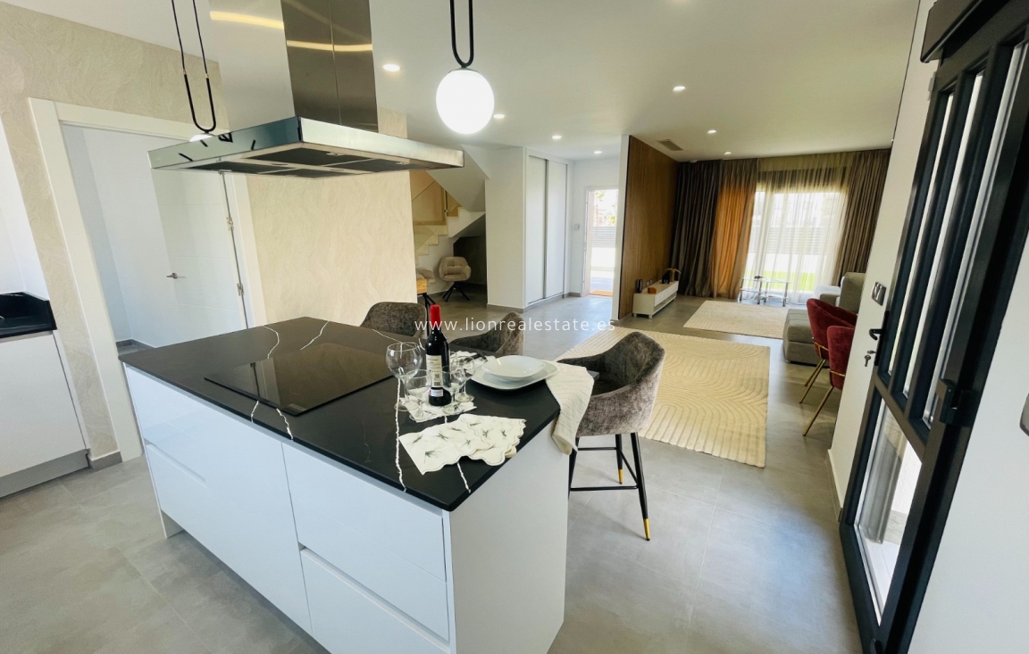 Nowy budynek - detached - Torrevieja