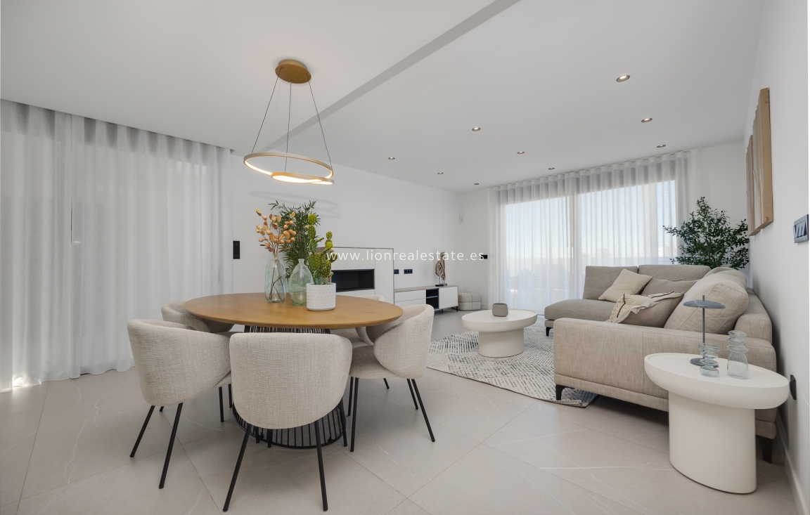 Nowy budynek - detached - Torrevieja